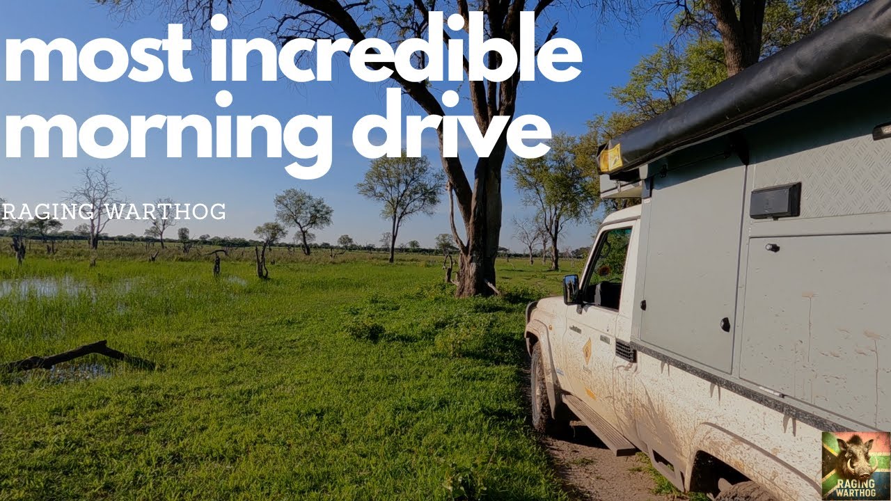 SOLO BOTSWANA OVER LANDING | One of My Best Safari Drives Ever | Make the most of the little things