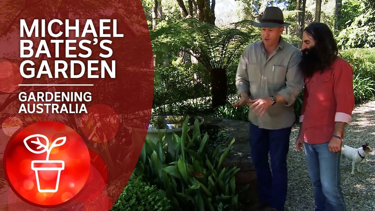 Michael Bates's Blue Mountains garden