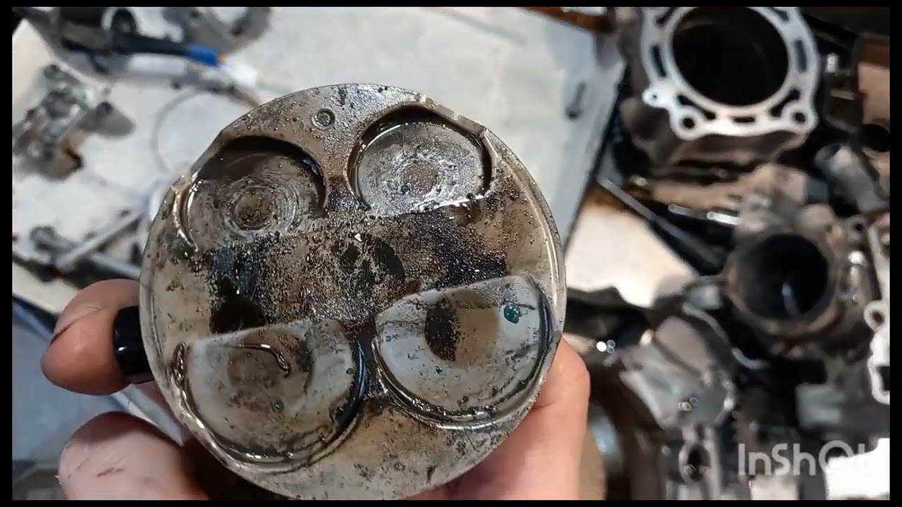 YZ250F 2016, яка напилась в незвичний спосіб та вмерла