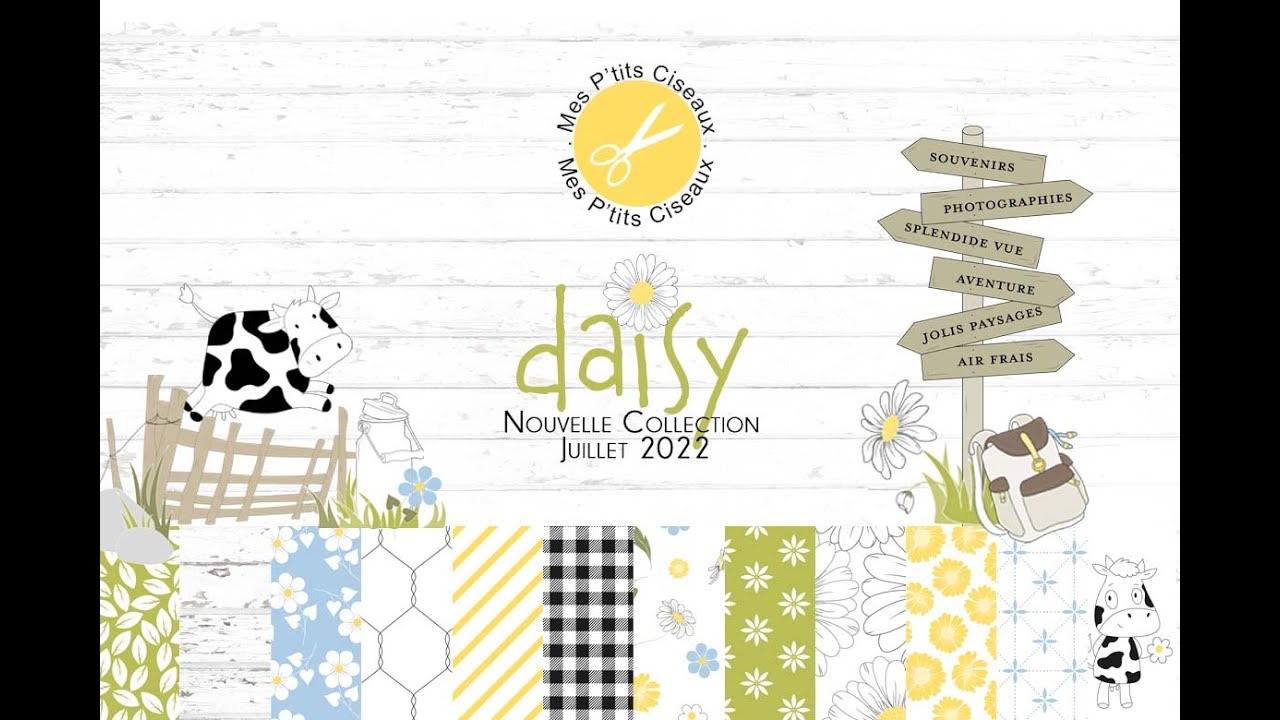 Pr&eacute;sentation de la collection Daisy