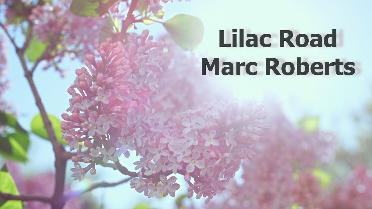 Lilac Road - Marc Roberts