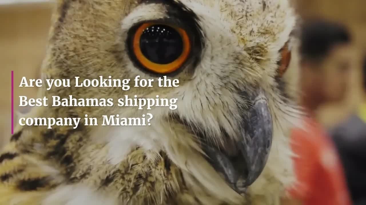 Best Bahamas Ocean Shipping in MIami
