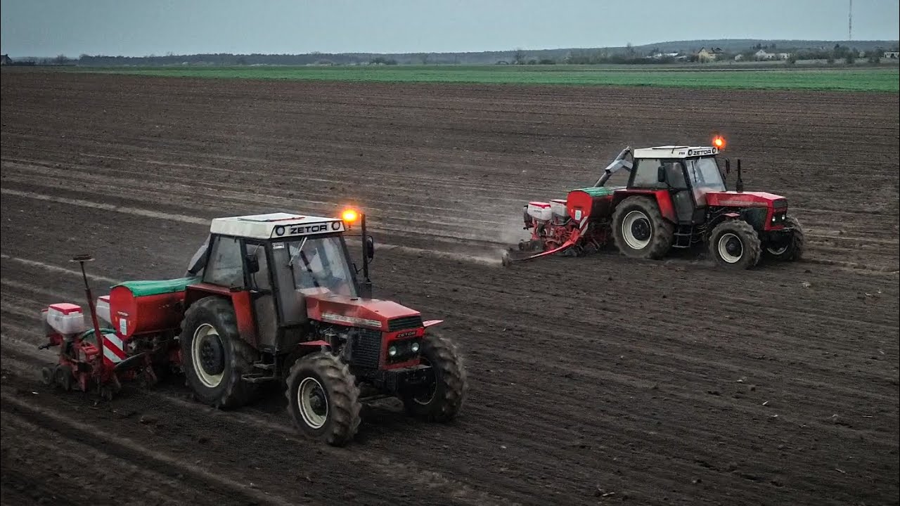 🇵🇱Oporowy Siew Kukurydzy🔥Na Dwa Zestawy🔥Zetor Na Dwa Koła?✔Ur Mariusz Szuster✔