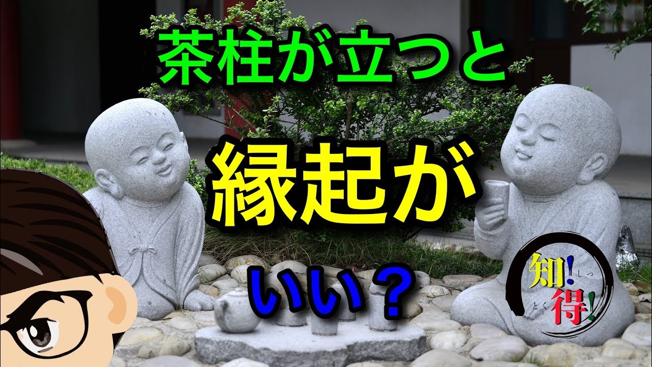 ◆知っ得◆雑学　茶柱が立つと縁起がいい、茶柱の由来と歴史