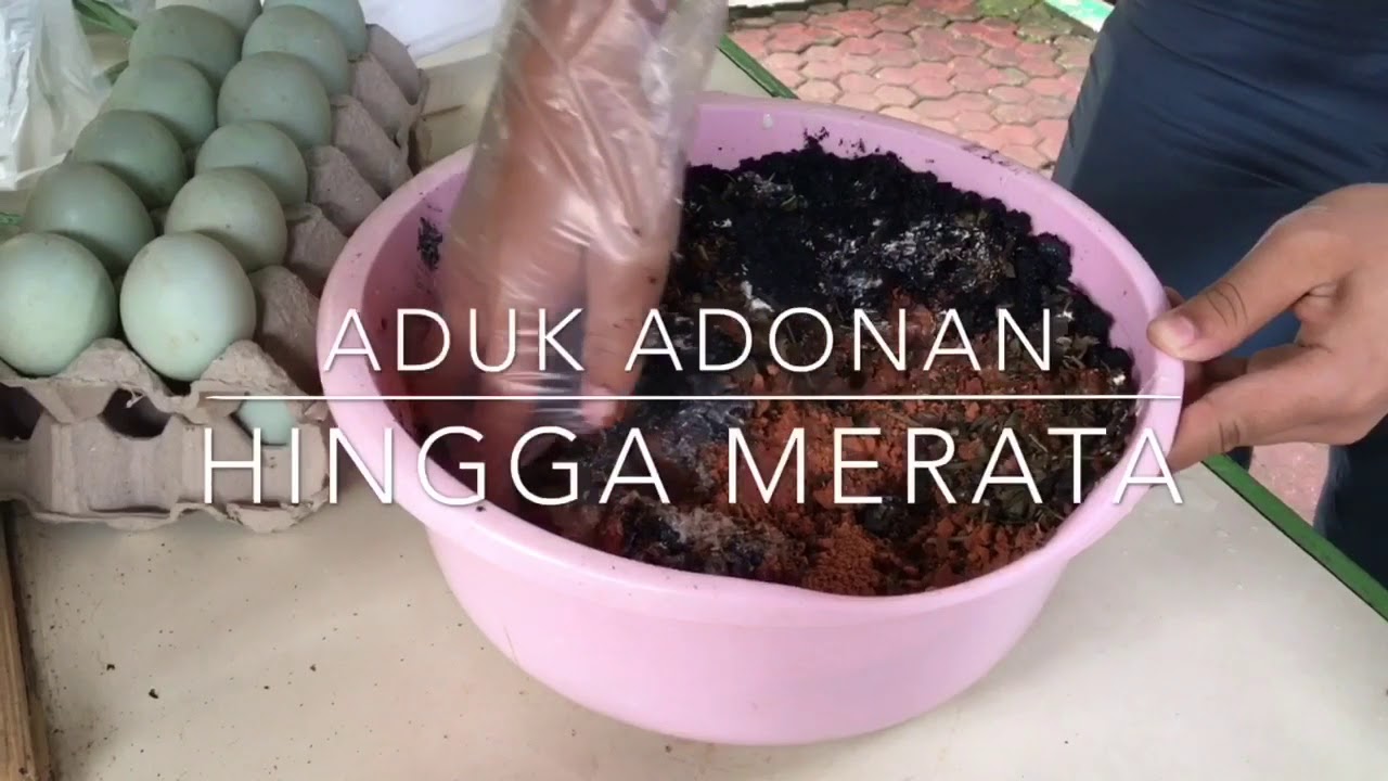 Proses Pembuatan Telur Pitan - Kelompok 3 11 MIPA 4 - SMAN 81 Jakarta | Pengajar: Rifqiyati M.S.M.
