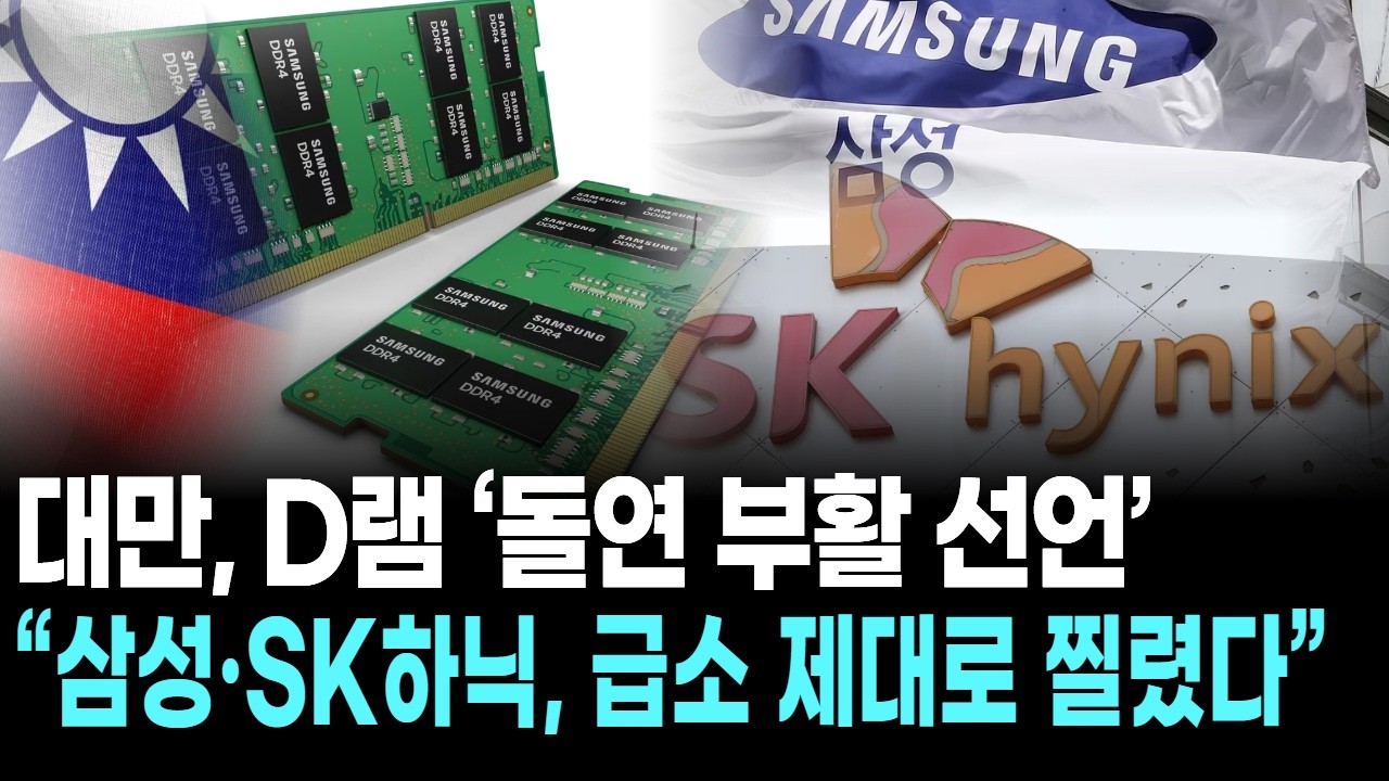 대만, D램 &lsquo;돌연 부활 선언&rsquo;&hellip; &ldquo;삼성&middot;SK하닉, 급소 제대로 찔렸다&rdquo;
