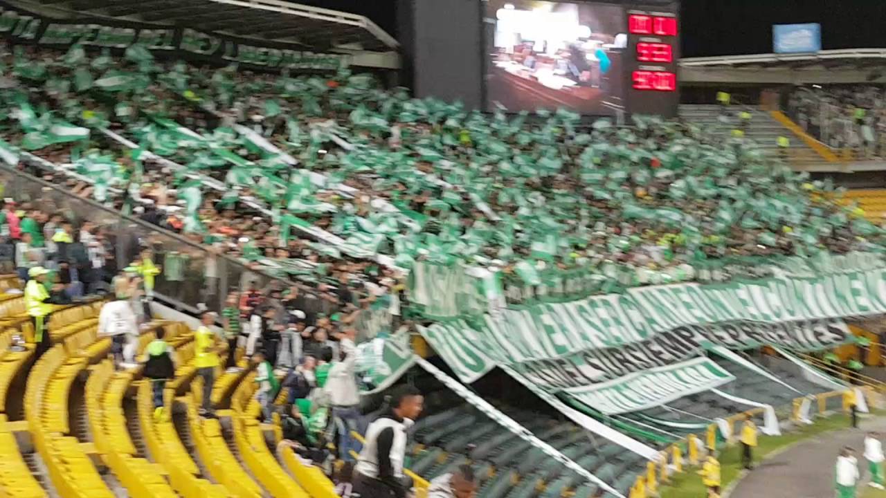 De la cuna hasta el cajón - Queremos ganar la Copa Libertadores (Los del Sur)