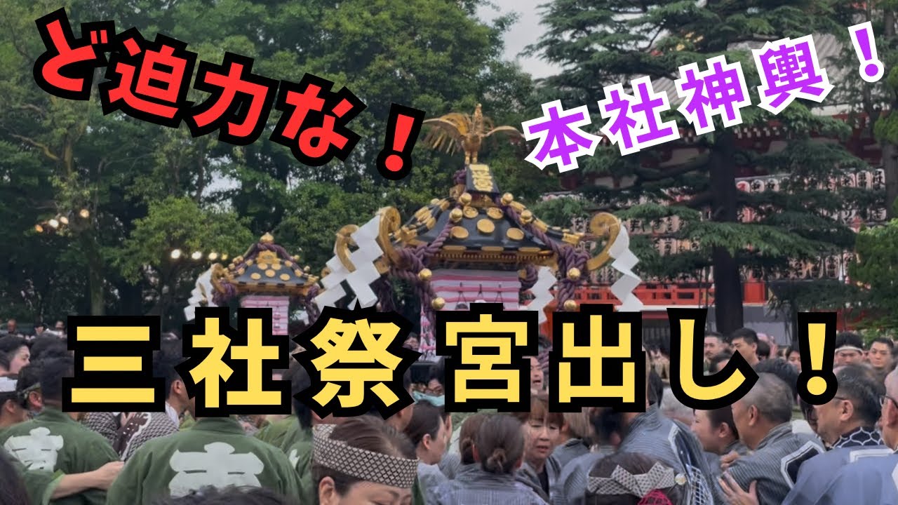 令和7年　三社祭！ど迫力の宮出し！#浅草