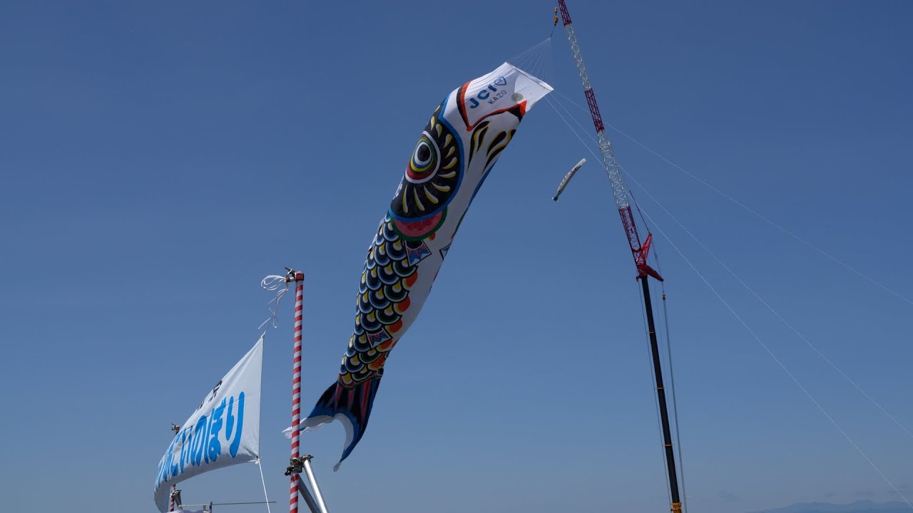 加須市民平和祭のジャンボこいのぼり [4K] (埼玉県加須市) 2025/5/3/AM