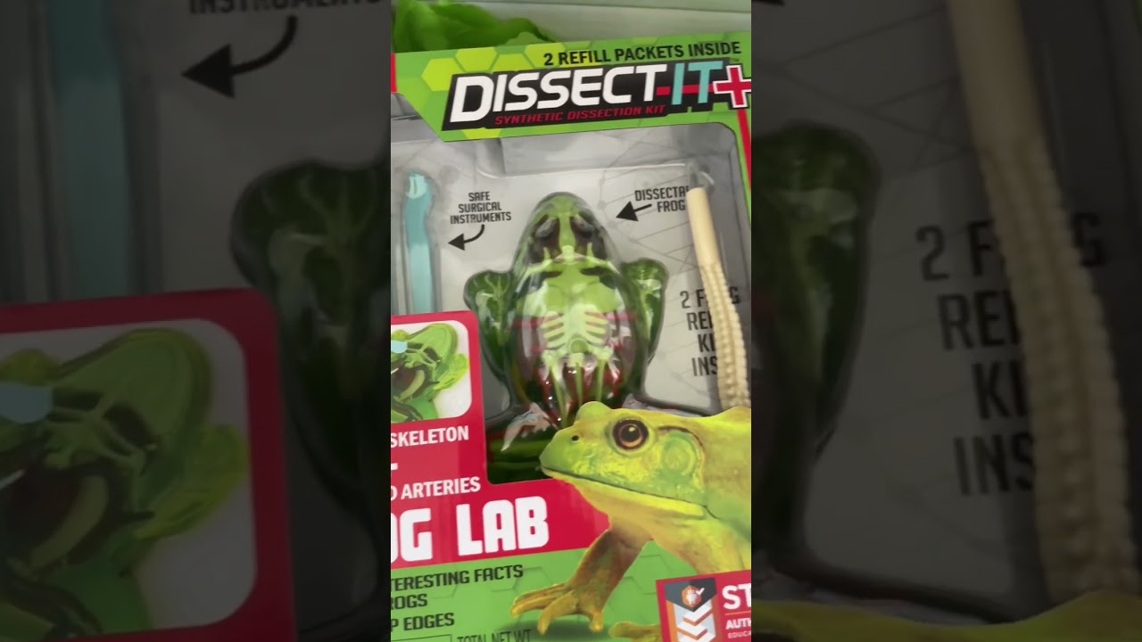 Dissect It Synthetic Frog Kit #shorts #dissection #dissecting