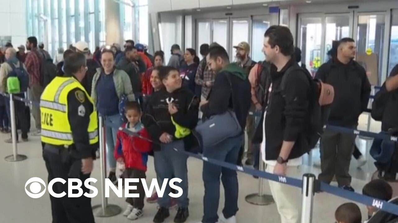 What travelers should expect from potential flight cuts