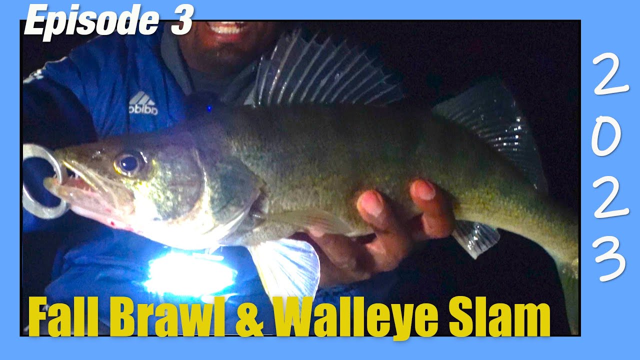 Hooked on Night Walleye: Fall Brawl Tournament Walleye Fishing from Shore!