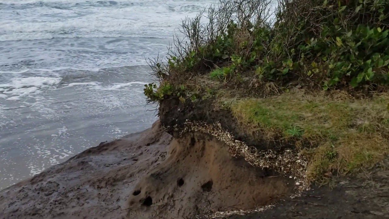 Shell midden at the Oregon Coast - Native American history