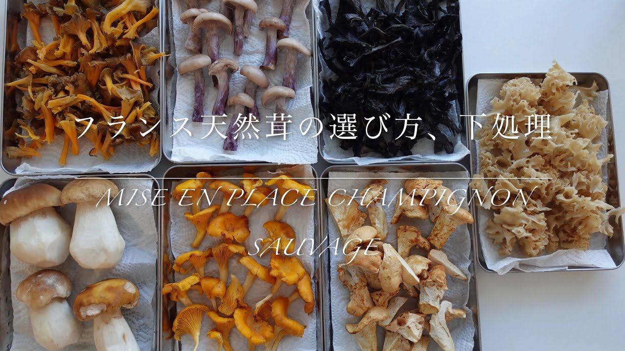 【フランスの天然キノコ】シャンピニョン・ソバージュの選び方、下処理champignon sauvage