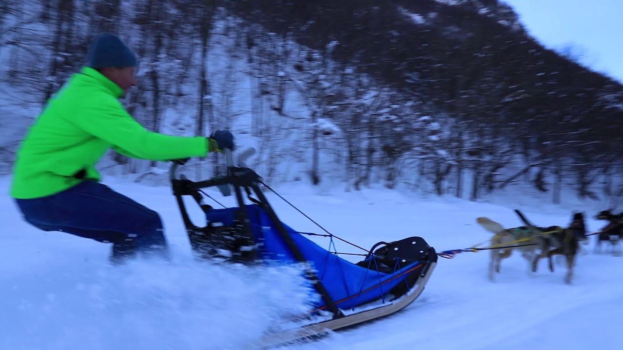 Sleddog a Vernante - Ranch Alpi del Mare