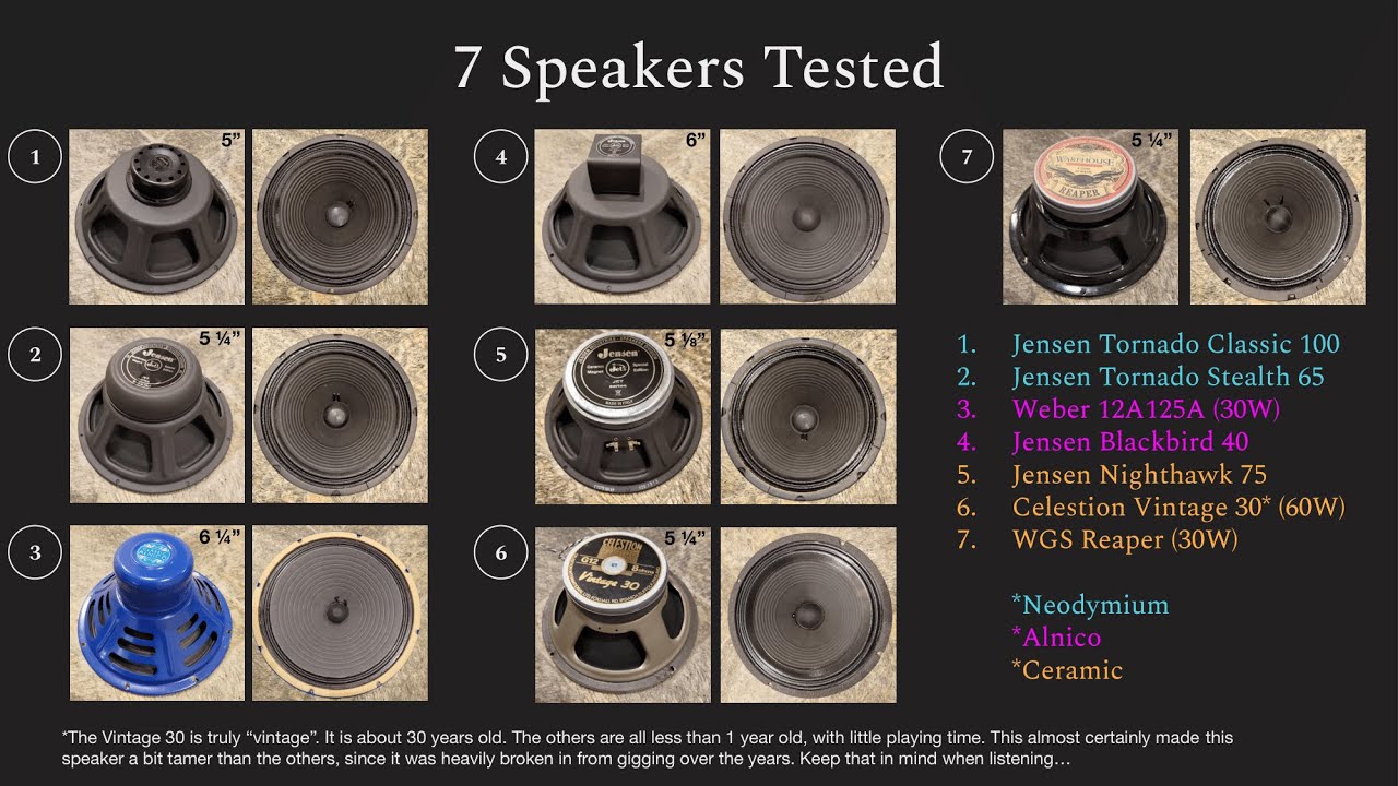 Could this be the best speaker ever for your Tweed Deluxe?!