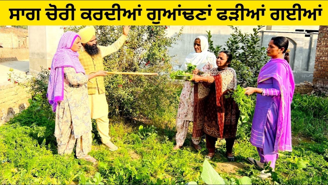 ਸਾਗ ਚੋਰੀ ਕਰਦੀਆਂ ਗੁਆਂਢਣਾਂ ਫੜੀਆਂ ਗਈਆਂ sag chorni punjabi short video #sag #chorni #guandan #chori