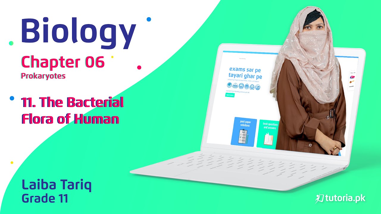 Biology Class 11 | Chapter 6 | Topic 11 | The Bacterial Flora of Human | in urdu | tutoria.pk
