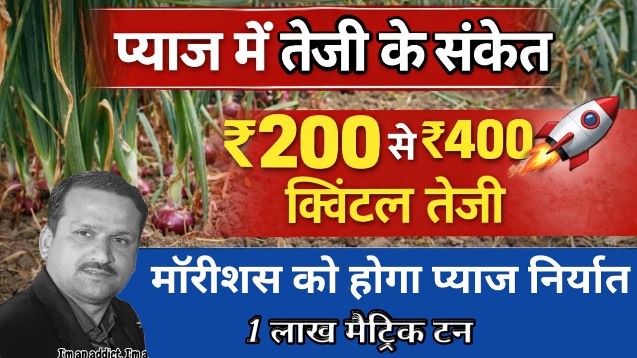 1 लाख मेट्रिक टन प्याज का निर्यात होगा मॉरीशस को, प्याज बाजारों में रौनक लौटेगी,