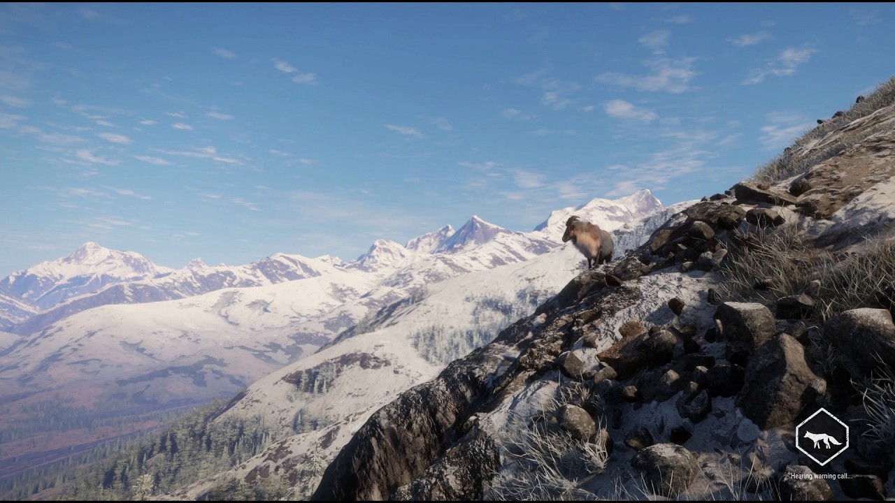 Hunting Everything | Call of the Wild