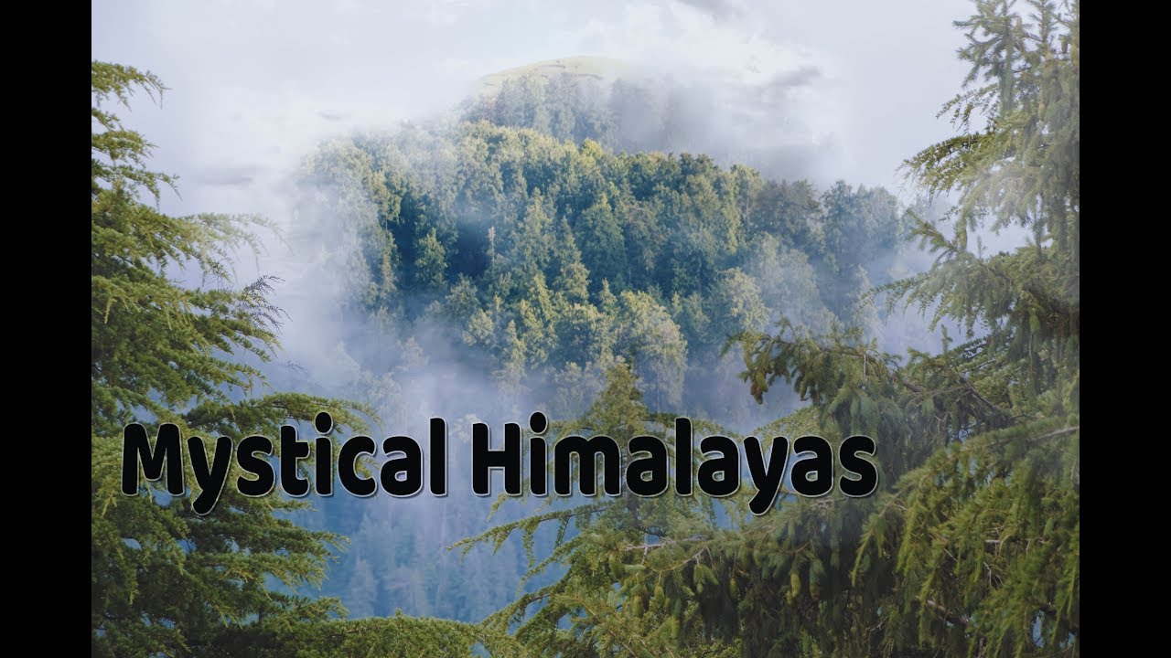 Mystical Himalayas | Nature Sounds | Birds Chirping | Meditation | Global Mantra