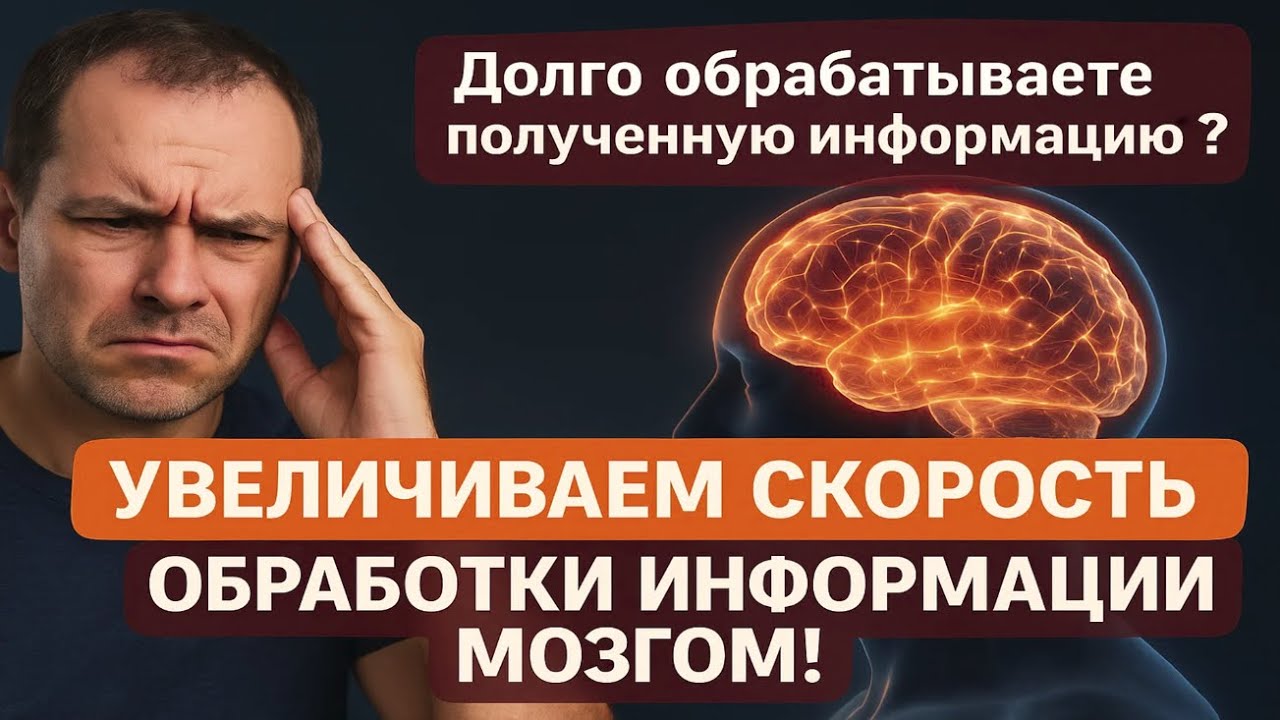 ⚡Долго обрабатываете полученную информацию? УВЕЛИЧИВАЕМ СКОРОСТЬ ОБРАБОТКИ ИНФОРМАЦИИ МОЗГОМ!⚡