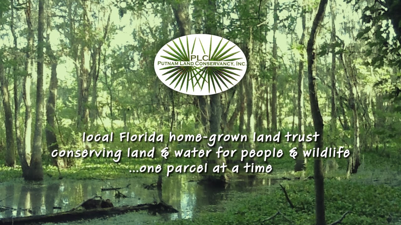 Putnam Land Conservancy: What We Do