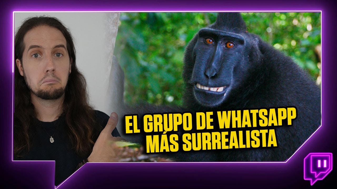 ME HAN METIDO EN UN GRUPO DE WHATS SURREALISTA Y ABSURDO