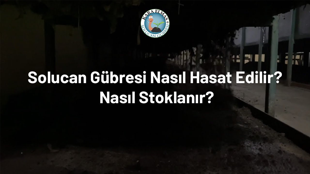 Solucan Gübresi Nasıl Hasat Edilir? Nasıl Stoklanır?