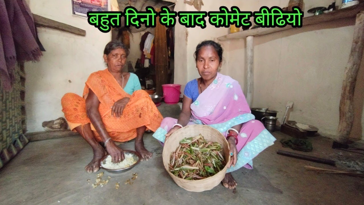 बहुत दिनो के बाद को कोमेट बीढ़ियो // budhani ki duniya