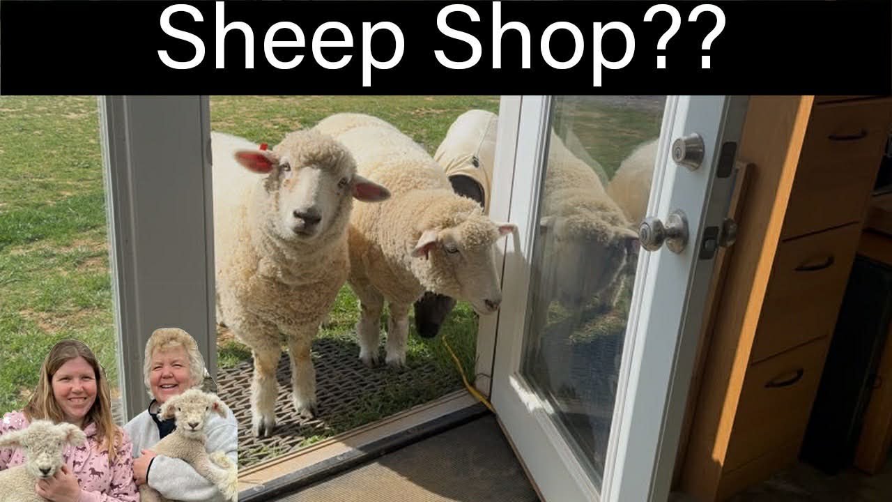 More Income Streams, Fort Harrison Fiber Fair, Bees and Jersey Cows