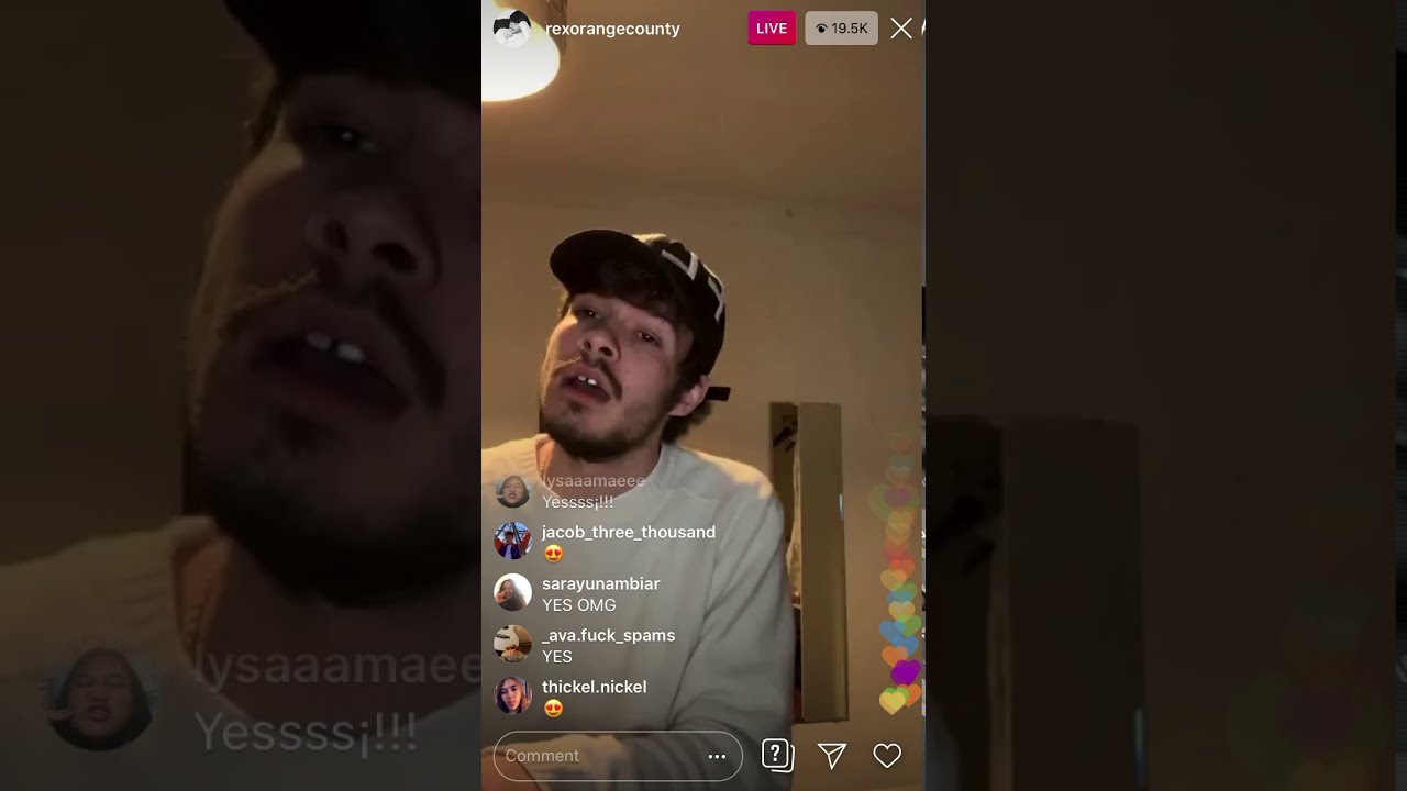 rex orange county live- rainbow connection