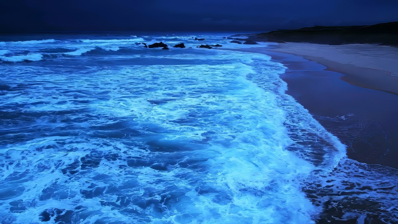 Sleep peacefully to the sound of the waves. 🌊 Gentle ocean waves for sleep