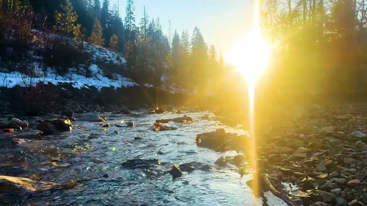 Rocky River Sounds at Sunset 🌊 10 Hours of Flowing Water for Deep Sleep & Relaxation