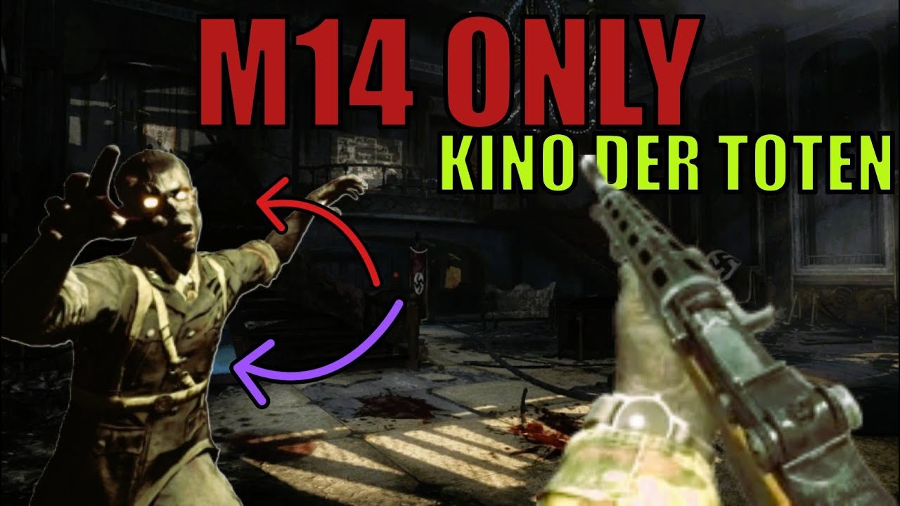 Can I Survive 30 Rounds with the M14 Only?