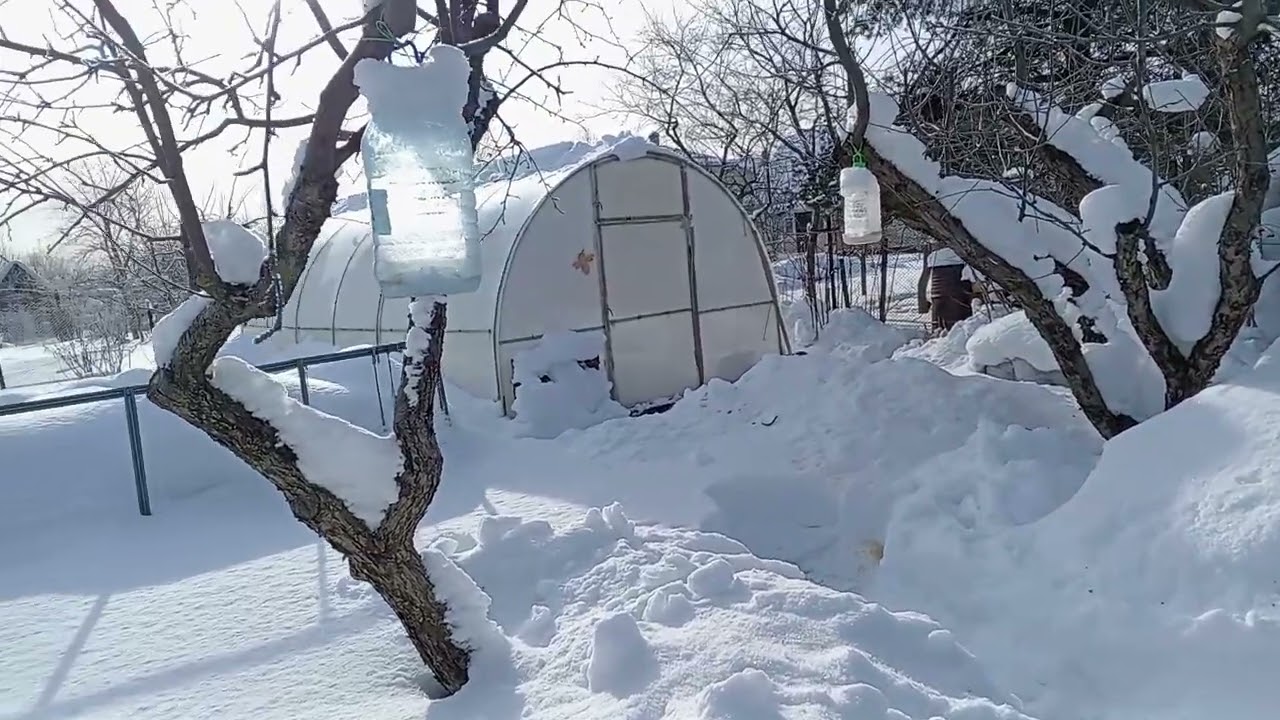 САД И ОГОРОД В ФЕВРАЛЕ