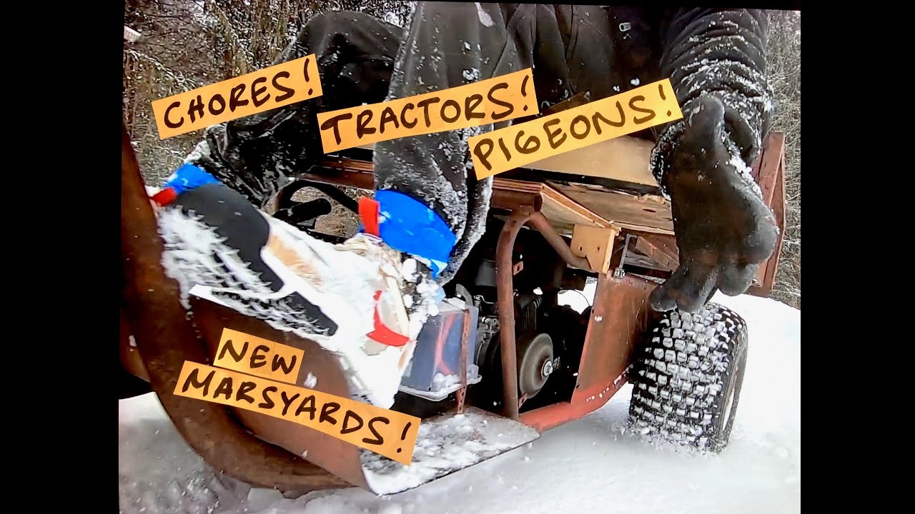 Five Farm Chores & Testing Mars Yard 2.5 Sneakers