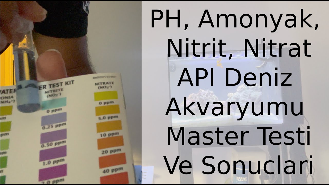 Deniz Akvaryum PH Amonyak Nitrit Nitrat Testi | Mehmet Hakan TATLICI | Meta Reef Aquarium