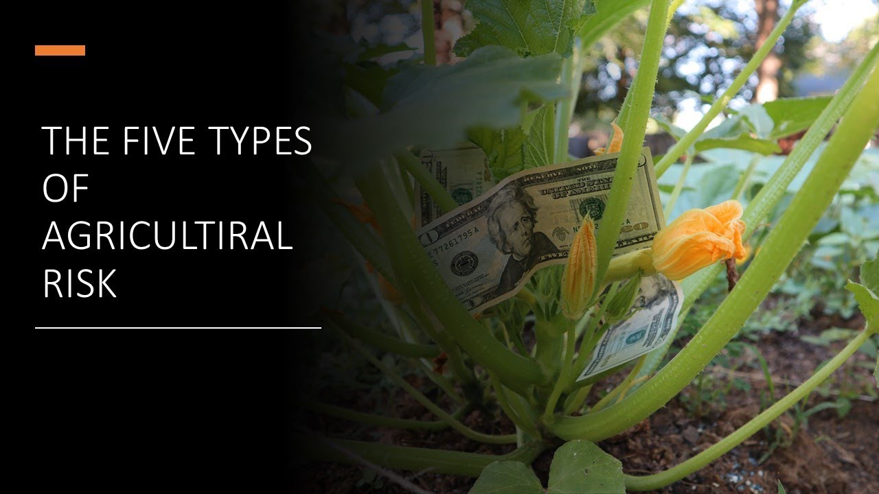 An Introduction to Agricultural Risk