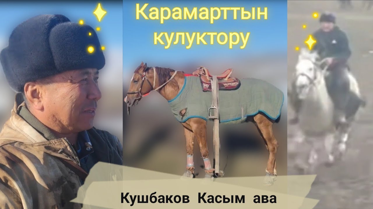 Касым ава