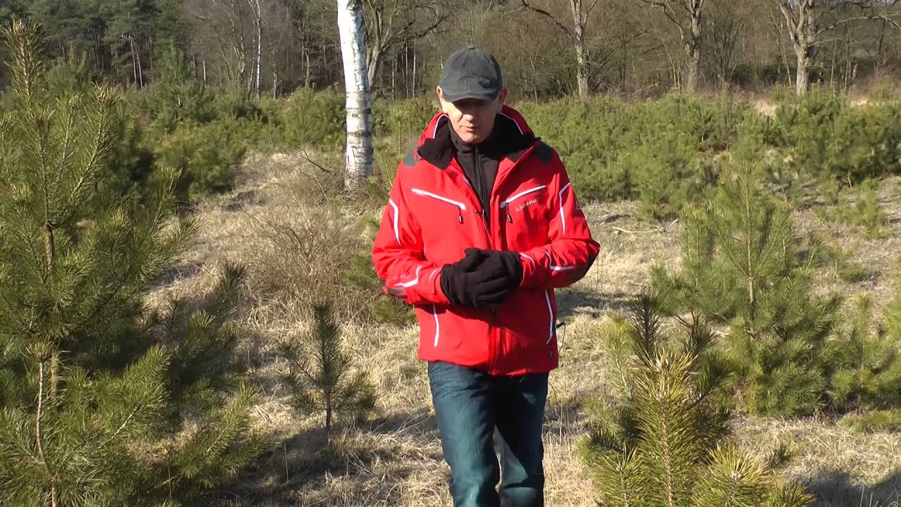 Generaal Winkelman kazerne Nunspeet teruggegeven aan de natuur.