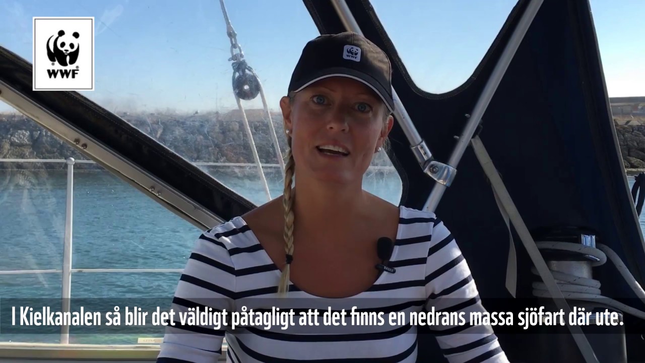 Äventyret till havs - Elin möter lastfartyg på nära håll i Kielkanalen