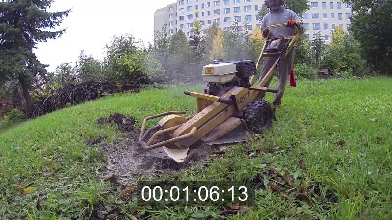 Jak se zbavit pařezu za 5 minut