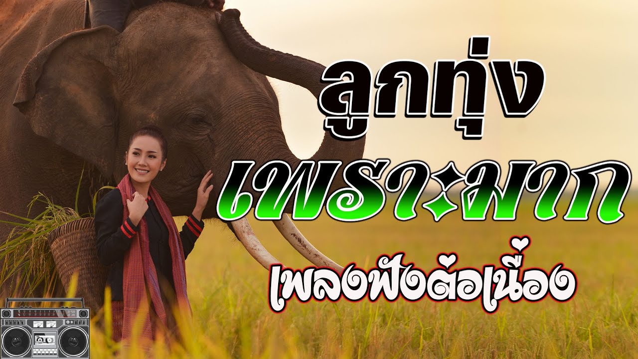 ลูกทุ่งเพราะมาก : คัดมาพิเศษ เพลงฟังต่อเนื่อง #ลูกทุ่งเพลงดัง {เสียง HD}