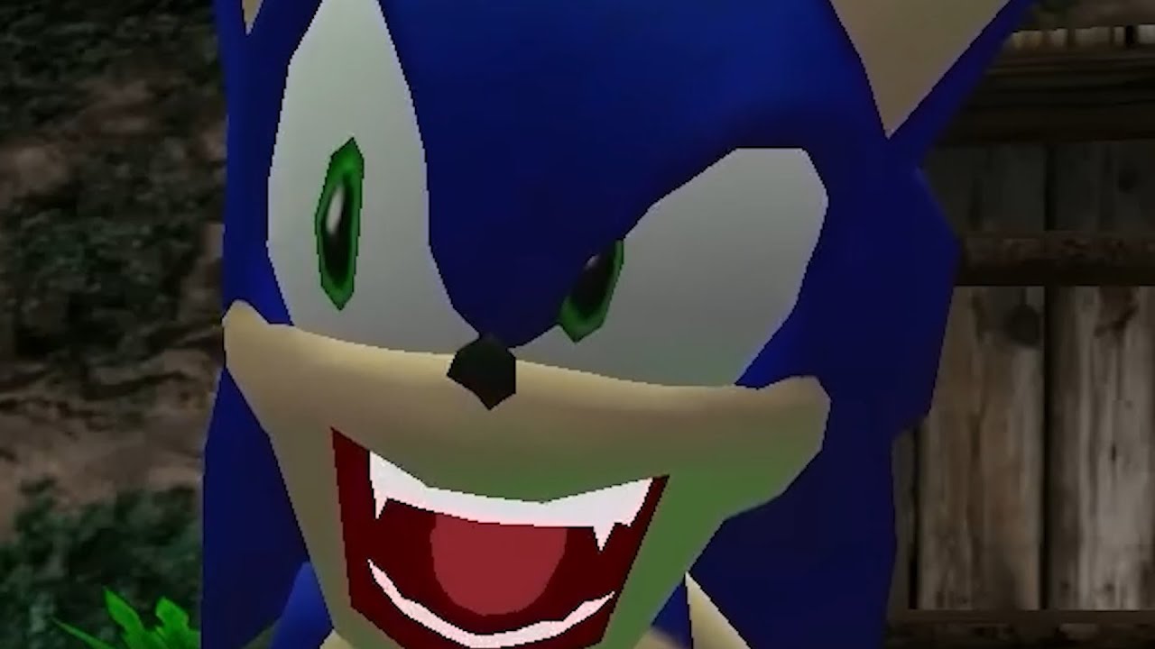 Sonic Please Stop