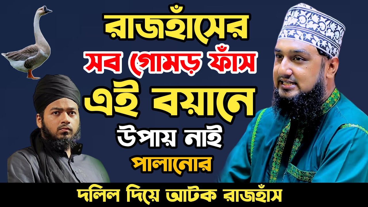 এসে গেছে প্রমাণ সহ দলিল পর্ব ২✅Hasanur rahman hussain naqshabandi✅হাসানুর রহমান হোসাইন নক্সেবন্দী
