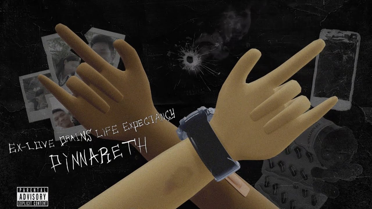 Pinnareth - Anything but this girl (Official Visualizer)