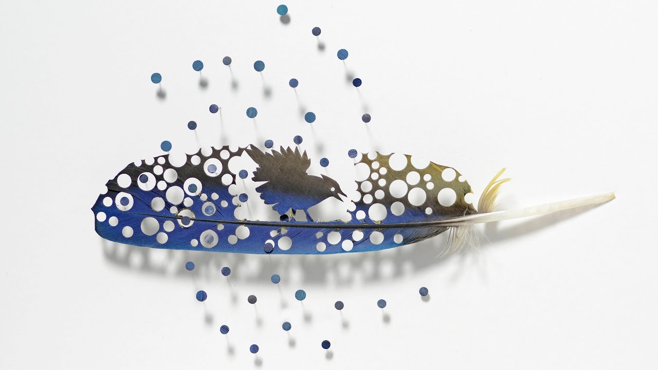Meet Chris Maynard, feather artist