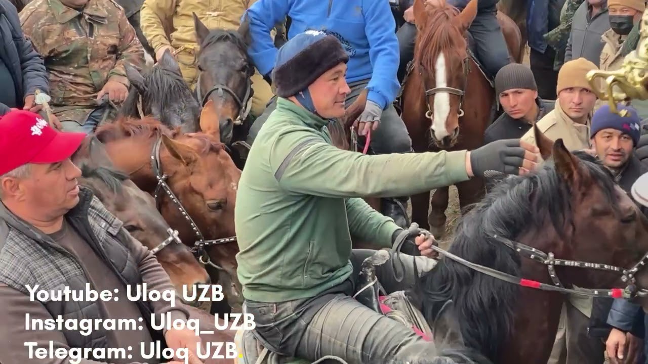 Gulom Qassobning ANGRENda 05.12.2021 da bergan Uloq Kopkarisining TOLIQ VIDEOSI, LAYK bosing