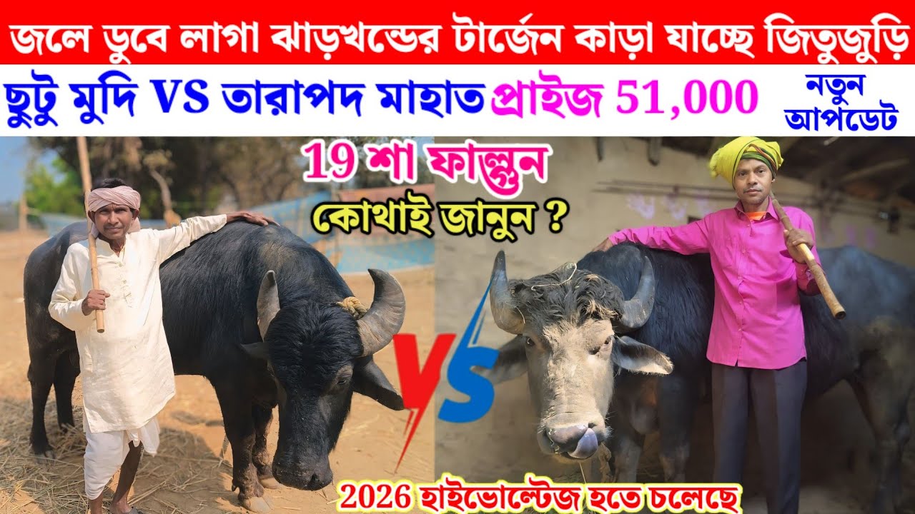 ঝাড়খন্ডের টার্জেন কাড়া যাচ্ছে// আসর কাঁপাতে জিতুজুড়ি আসর 19শা ফাল্গুন 